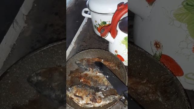 Обычное утро,начало нового дня смотреть онлайн