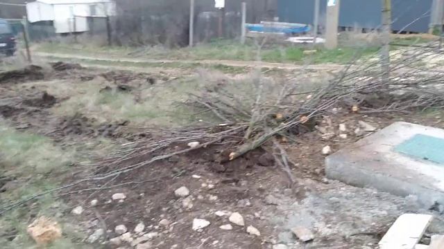 Планировка участка перед началом строительства