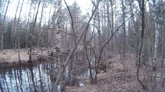 Фото-ПВД :) смотреть онлайн