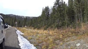 Ергаки Тушканчик осень