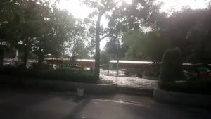 Почему крокодилы не едят бегемотиков?