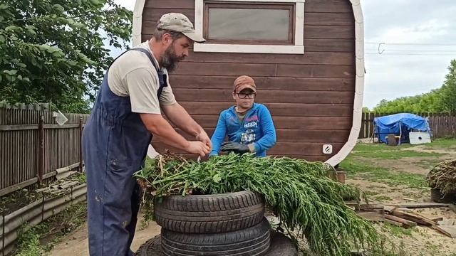 Наша "контора" вяжет веники. Заготавливаем витамины на зиму для кур – крапивные веники ??? смотреть онлайн