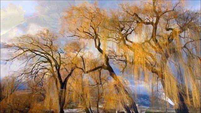 Авторская песня "Осень" - Елена Никкель смотреть онлайн