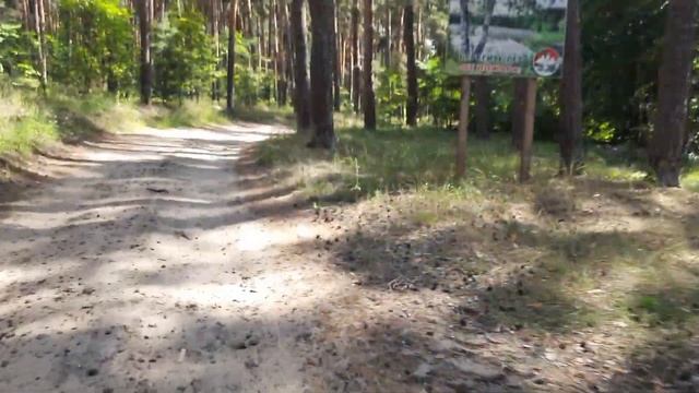 Gotway Nikola Plus 100v в лесу смотреть онлайн