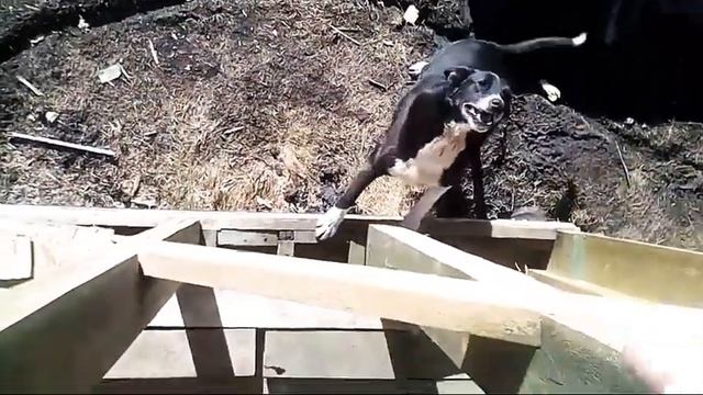 Заключительный последний день стройки перекрытия пристройки ! смотреть онлайн