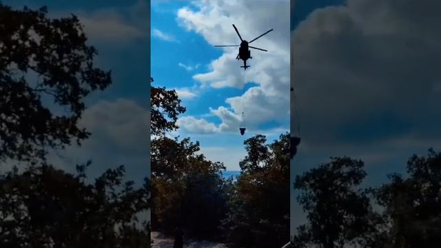 Елена Миловидова, сотрудник сафари-парка Геленджика, рассказала как сейчас обстоят дела на месте смотреть онлайн