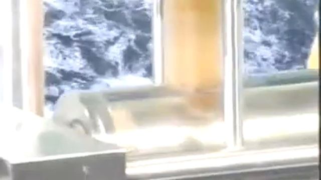 Prominent orlita DR смотреть онлайн