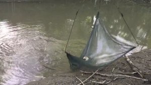 РыбалкА НА ПодъемниК, МАЛЯВОЧНИК В МАЛОЙ РЕКЕ, ЛОВЛЯ ЖИВЦА