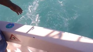 Рыбалка. Куба. Ловля рыбы. Барракуда.