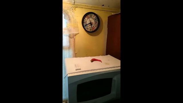 Дача 4 смотреть онлайн