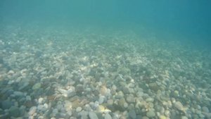 Подводная съемка на камеру SJCam SJ8 Pro