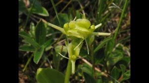 Ильменский заповедник