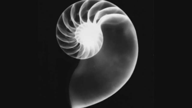 Наутилус Помпилиус - Негодяй и Ангел смотреть онлайн