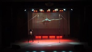 Онищенко Вадим pole exotic взрослые профессионалы Pole Universe 2021 winter