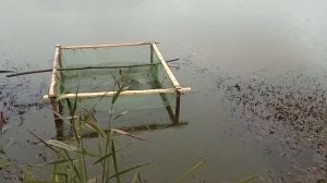 СПУСК ВОДЫ С ВОДОЕМА! Как вылавливают рыбу с пруда.
