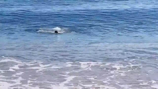 отдых в Испании смотреть онлайн