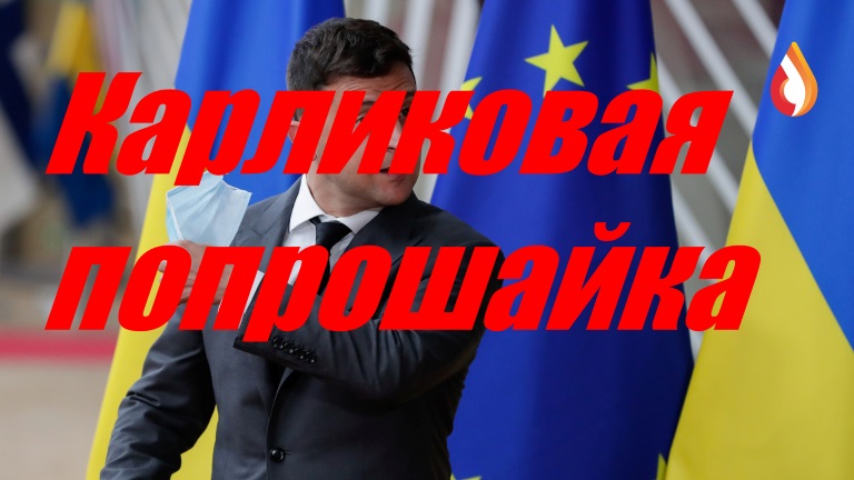 Карликовая попрошайка