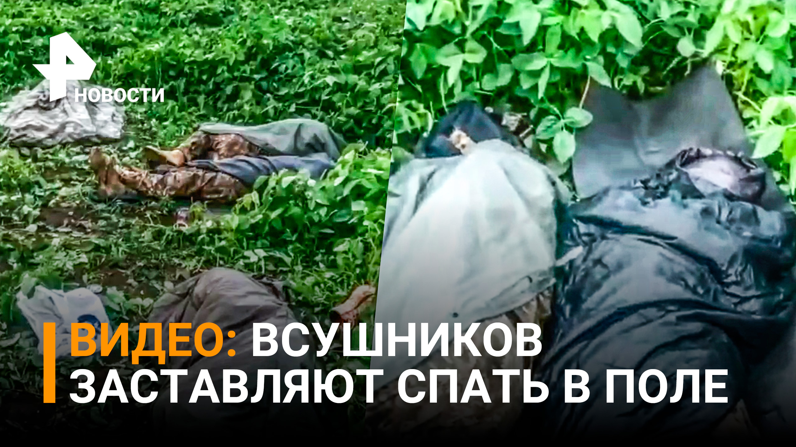 ВСУшники в обиде на то, что их высадили в чистом поле, а офицеров - в теплом месте / РЕН Новости