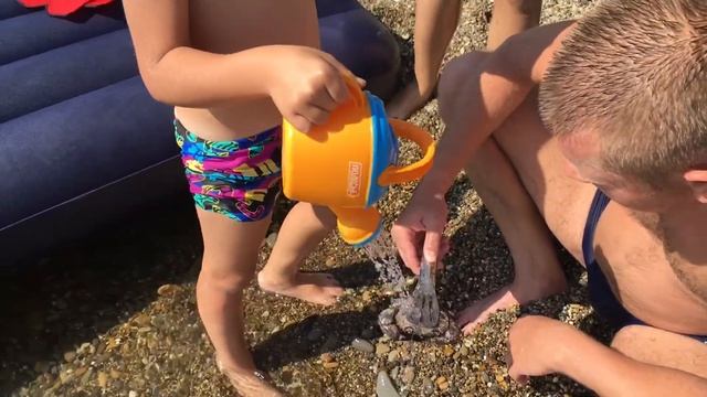 #4 Лермонтово. Утро четвёртого дня. Кто съел весь мой суп?! Крабы. Маска. Мы собрались и едем домой смотреть онлайн