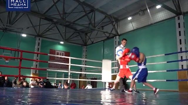Краевой чемпионат по боксу смотреть онлайн