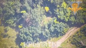 Удар по арт орудию Д-20 ВСУ около н.п. Часов Яр