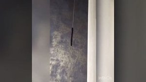 Косяки на стыках обоев исправляем