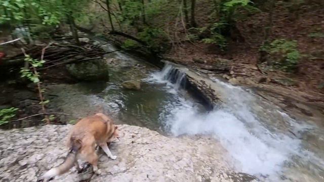 Поход из Межгорья по Бурульче, Орто-Сырту и Долгоруковской яйле.