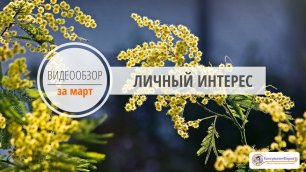 КонсультантКиров видеообзор за март 2022.