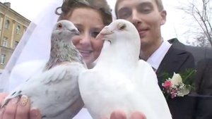 Инструкция по применению голубей на свадьбе