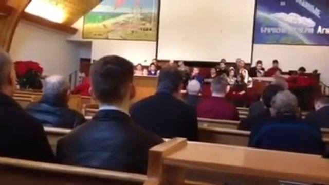 Как елочки зеленые