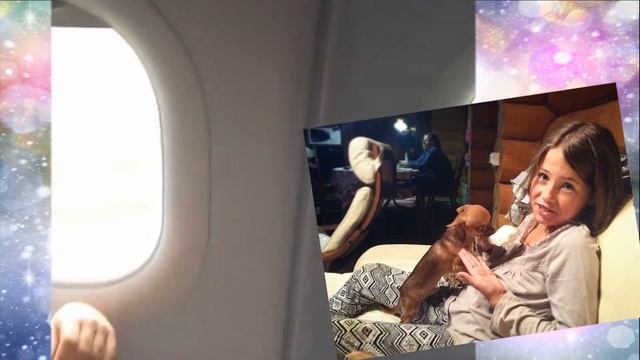 скандал с дочкой Панина / суд смотреть онлайн