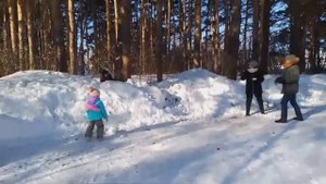 Семья Логиновых