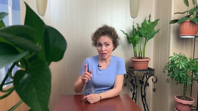 Жук поедает бутоны. Бронзовки на Розах. Бронзовка Мохнатая борьба.