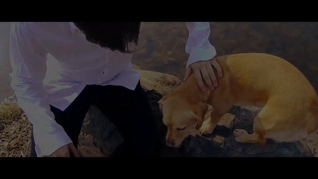 Буктрейлер по рассказу Муму, 9 класс, гимназия 5, Грицкова Арина, Климец Лада Мария, Полозкова Ека смотреть онлайн