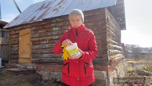 Первые всходы в теплице. Покупки из Светофора. Даже поесть не успела приготовить. смотреть онлайн
