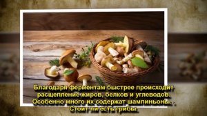 СПОРНЫЕ ПРОДУКТЫ: ЧЕМ ПОЛЕЗНЫ И ЧЕМ ВРЕДНЫ ГРИБЫ