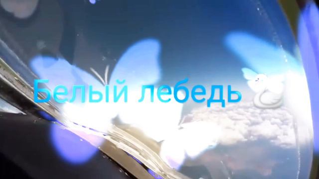 Белый лебедь 🦢 🦢 🦢