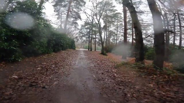 Как англичане празднуют Рождество! (ENG subs) смотреть онлайн