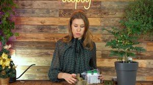 Посев капризной эустомы | Отличная всхожесть и рост рассады в 2 раза быстрее