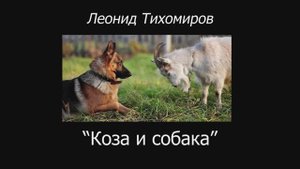 50. Коза и собака