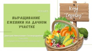 Лекция «Выращивание ежевики на дачном участке».