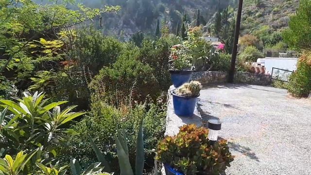 Мое Место Силы | Сказочная деревушка КАРМИ | Северный Кипр | KARMI Village | North Cyprus смотреть онлайн