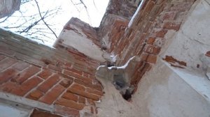 Усадьба Барятинских