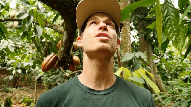 Cacao Farm Comparison | Ep.82 | Craft Chocolate TV смотреть онлайн