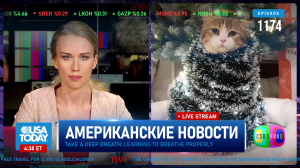 CSBSVNNQ Американские новости — выпуск #1174 от 01.01.2024