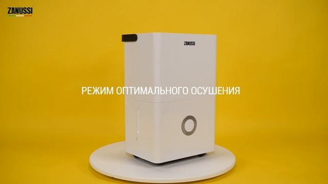 Чем осушить помещение? - Осушителем воздуха Zanussi ZDH-25L!