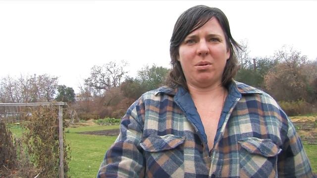 How to Plant Garlic смотреть онлайн