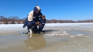 Ленки плавают около лунки! Ловля ленка в марте на мормышку с короедом. Зимняя рыбалка. Поимка ленка