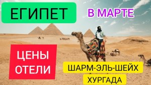 ЕГИПЕТ В МАРТЕ 2022: отдых, цены, туры, отели. Лучшие бюджетные отели Шарм эль шейха и Хургады 2022