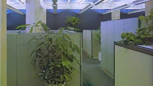 ＰＬＡＮＴ　ＷＡＶＥ　印宛ジ  __  Calm Vaporwave, Deep Ambient, Slowcore, Officewave